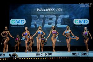 WELLNESS 163